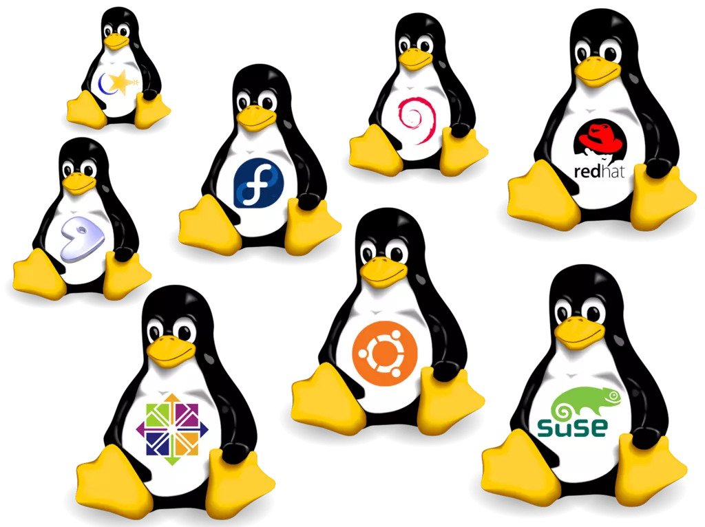 بررسی تفاوت بین دوره های آموزش لینوکس LPIC ، Linux+ ، RHCE و ... 